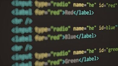 digital web design services